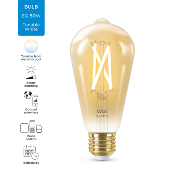 WiZ Connected LED edison E27 50W filament gold koel tot warmwit licht dimbaar