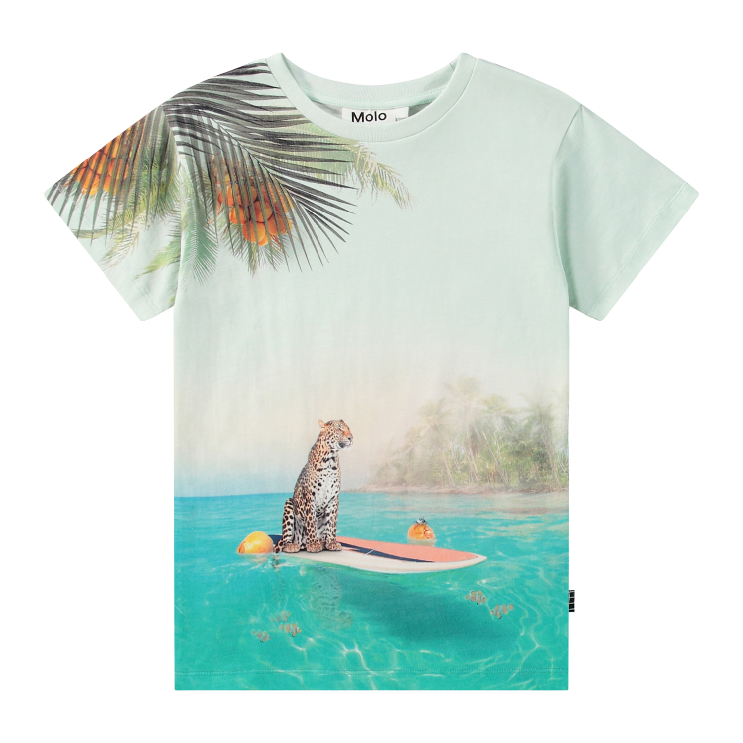 Raul - Leo On Surf