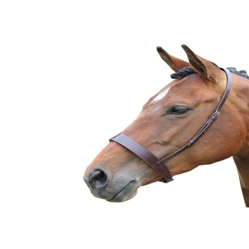 Cabresto de couro marrom Blenheim para cavalo de caça
