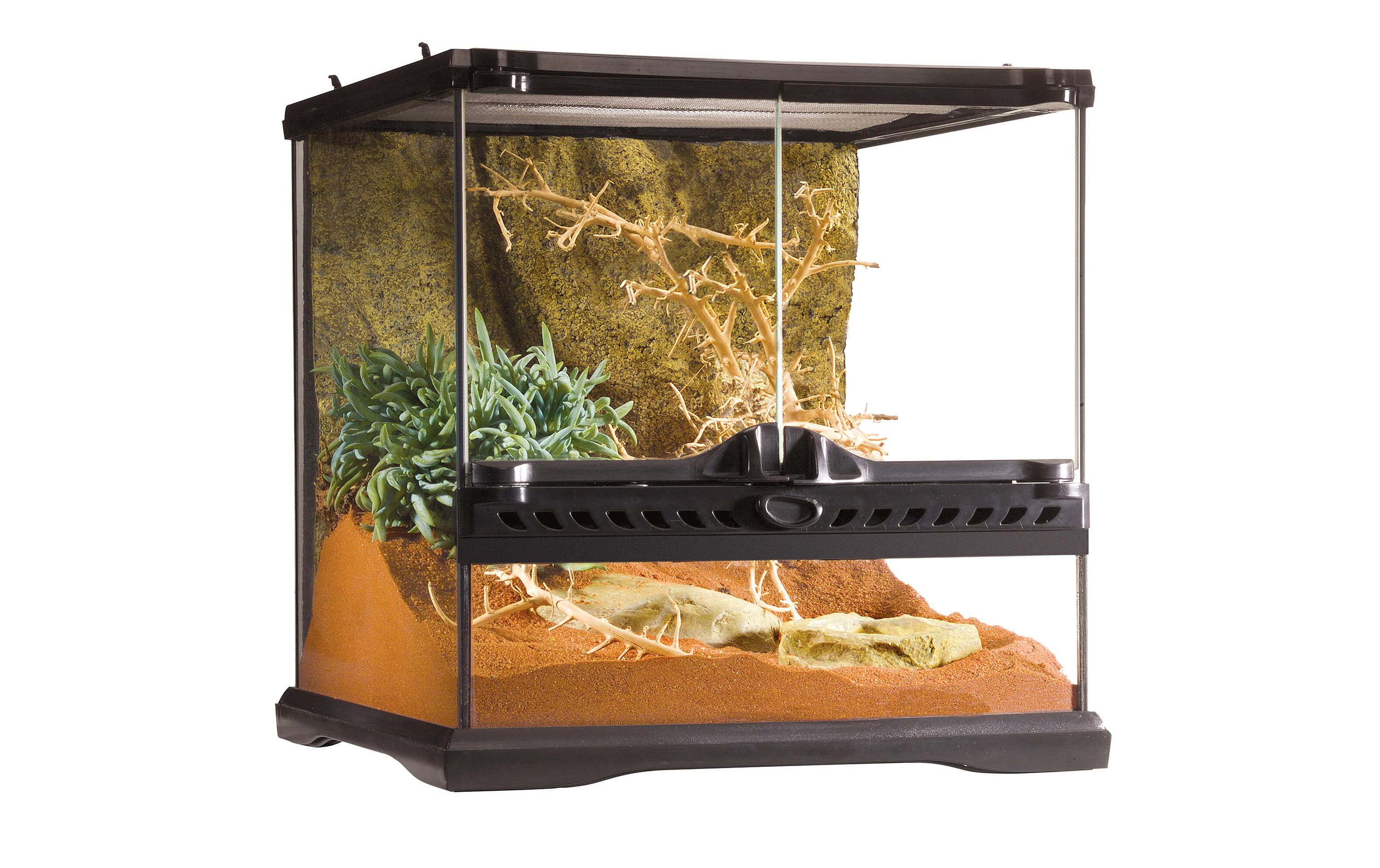 Glasterrarium Natural Mini/Wide, 30 x 30 x 30 cmTerrarium für Reptilien und Amphibien inkl. Steinmotivrückwand