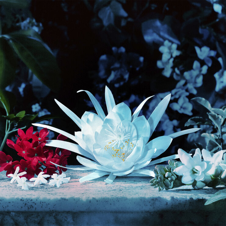 Gucci Bloom Intense