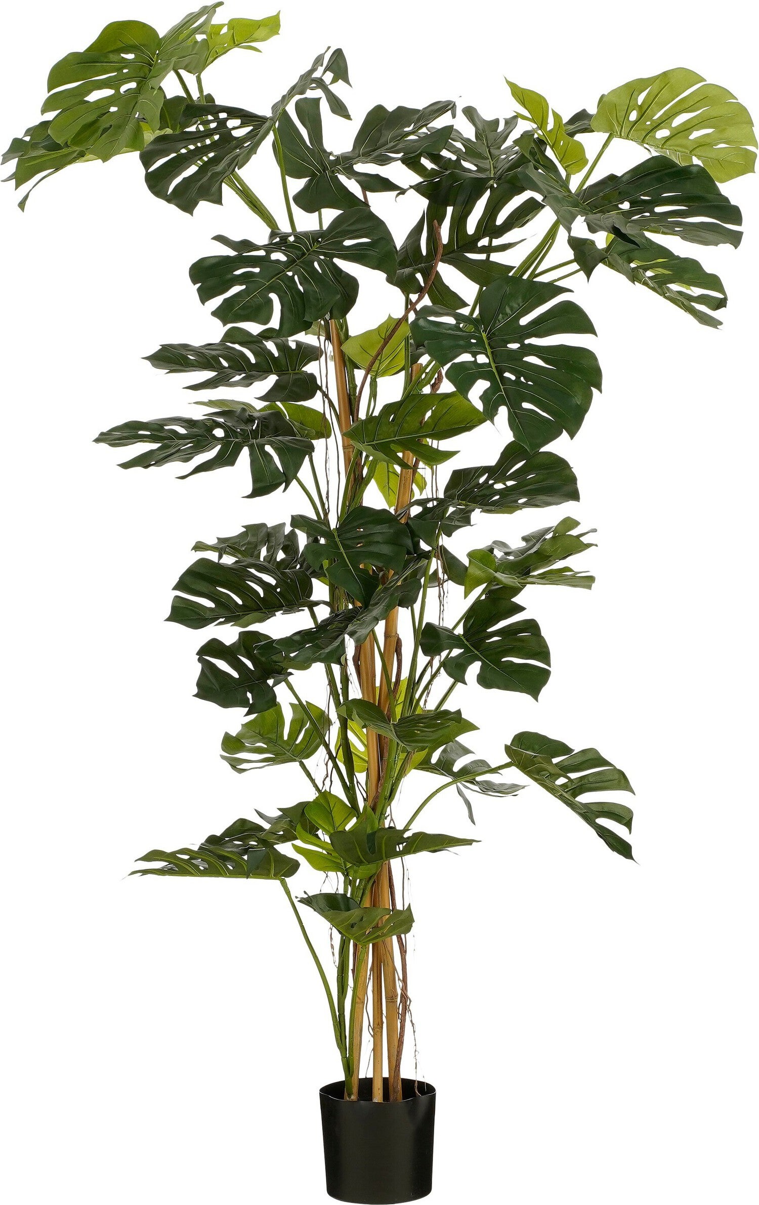 Mica Decorations kunstplant Monstera groen H 190 D 145 cm