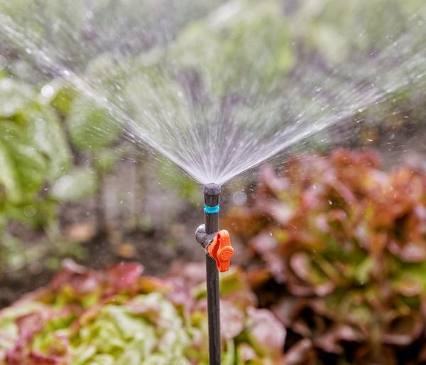 GARDENA Micro-Drip-System Sprühdüse 90 Grad,