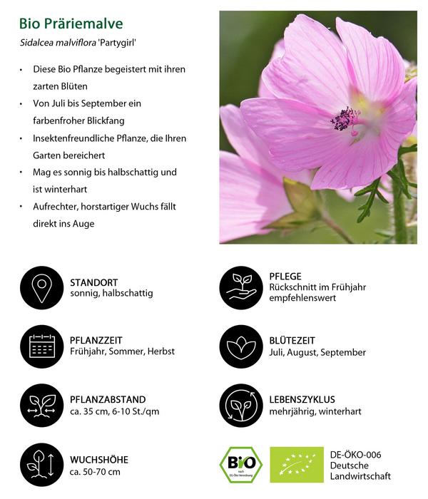 Bio Präriemalve 'Partygirl'