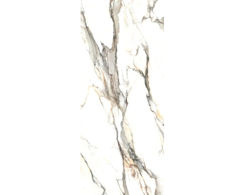Porseleinen steengoed wand- en vloertegel Calacatta 279,7 x 119,7 x 0,6 cm goud mat gerectificeerd