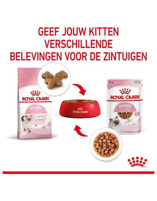 Royal Canin Kitten - In Gravy - Kitten-Kattenvoer - 85 g Bonuspack