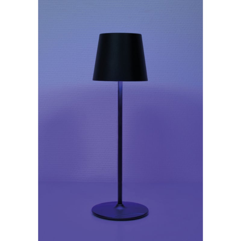 Showtec EventLITE Table-RGBW zwart
