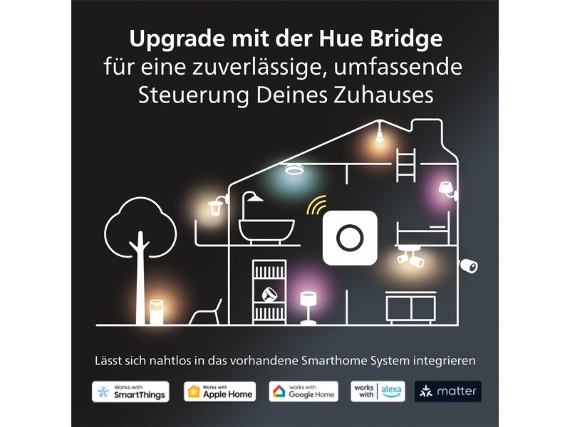 Philips Hue White & Color Ambiance Lightguide Globe 95 E27 Smartes Hue E27-Leuchtmittel