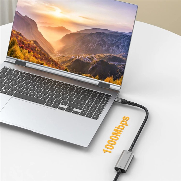 (2m) USB C auf Gigabit Ethernet LAN RJ45 Netzwerkanschluss Adapter Kabel (1000Mbit/s) - Grau