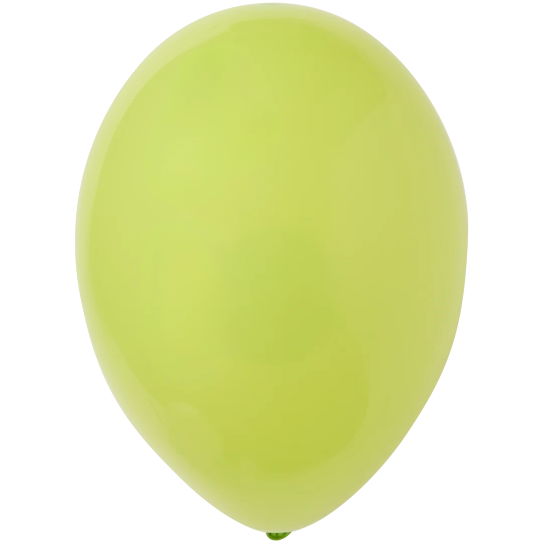 Ballonnen 25 stuks | diverse kleuren