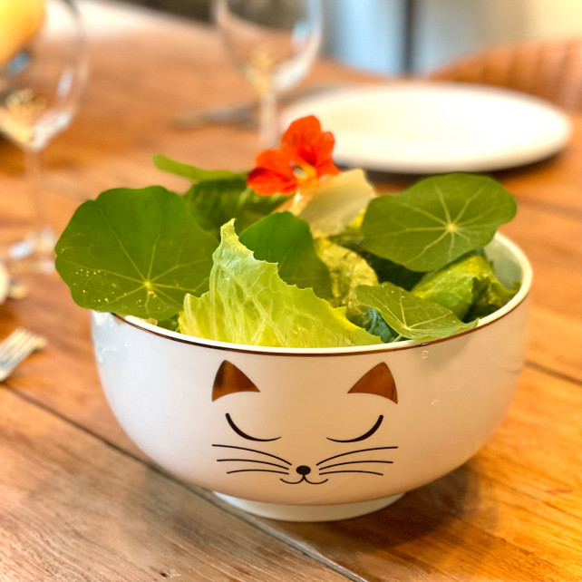 Saladier en porcelaine - Matinal Salade