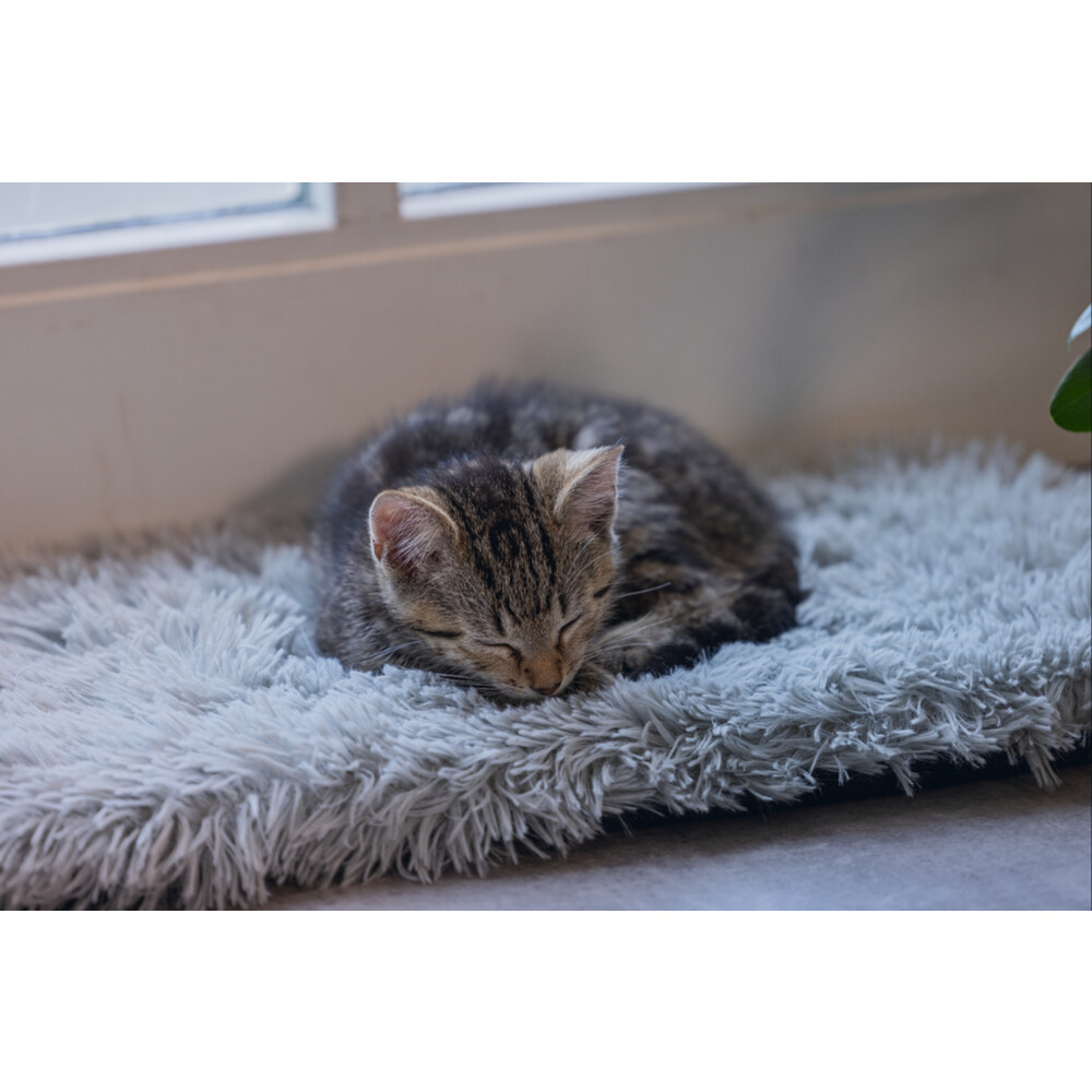 Beeztees Kitten Vensterbank Mat Blizz Grijs 65 cm