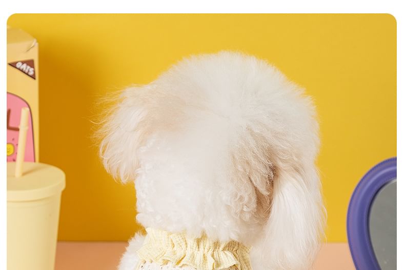 Cissilli - Pet Top met linthart