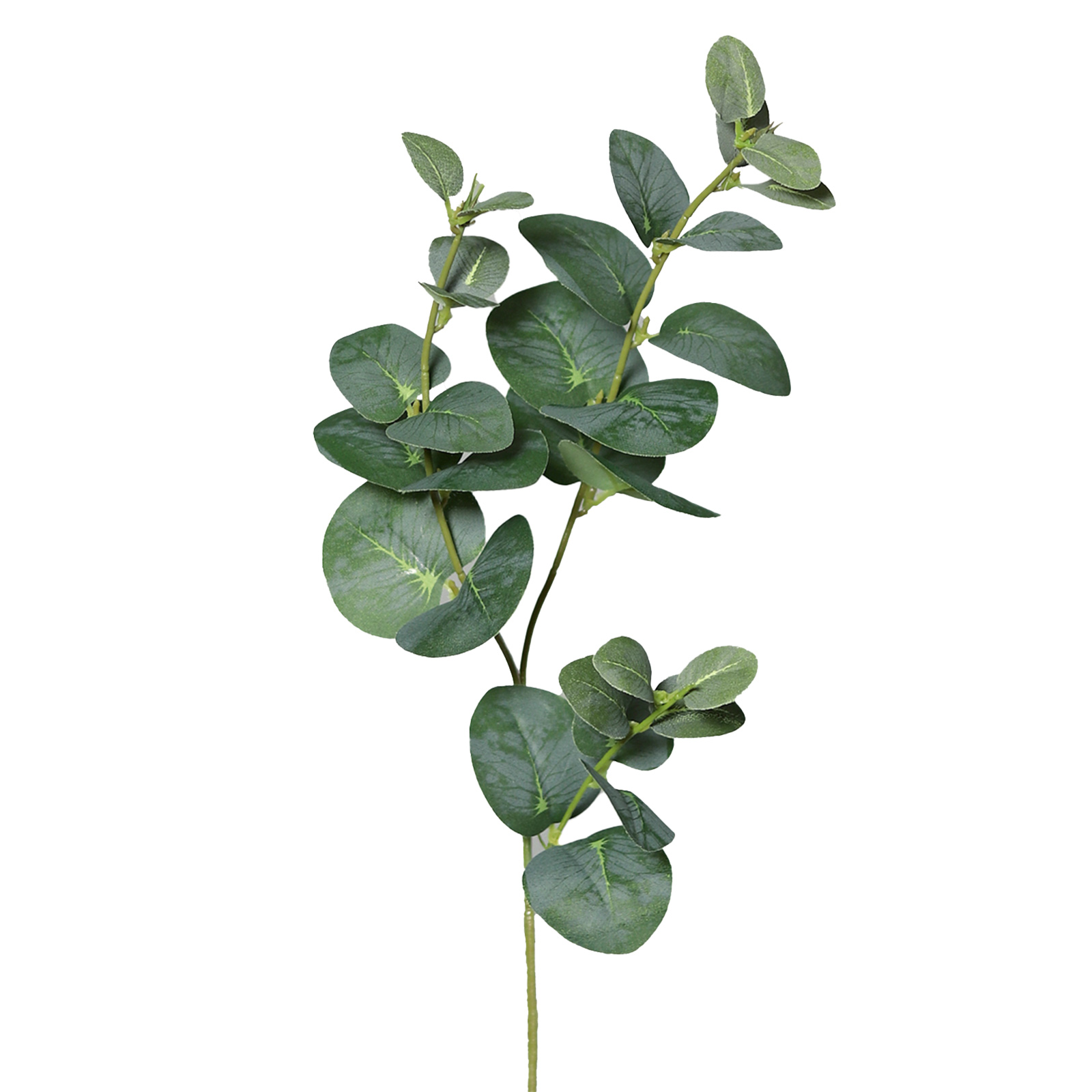 Eucalyptuszweig - grün - 64 cm