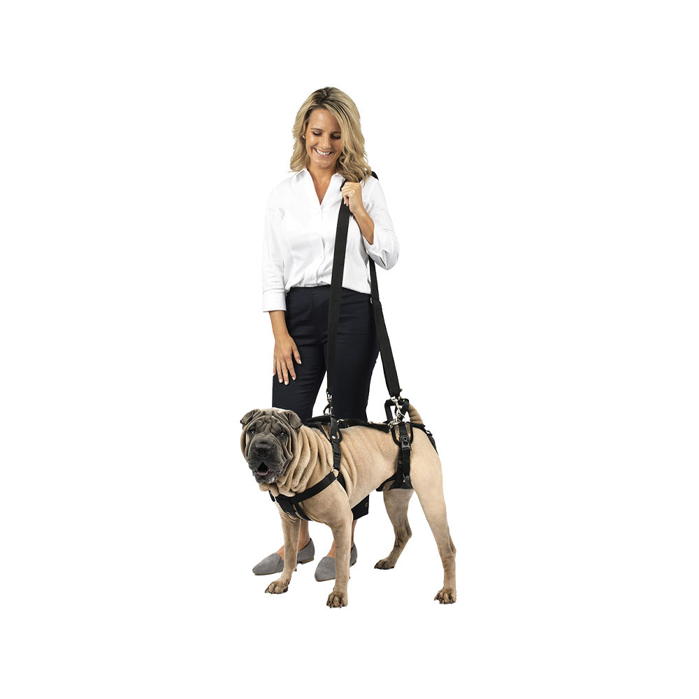 PetSafe Carelift - Draagsysteem voor de hond
