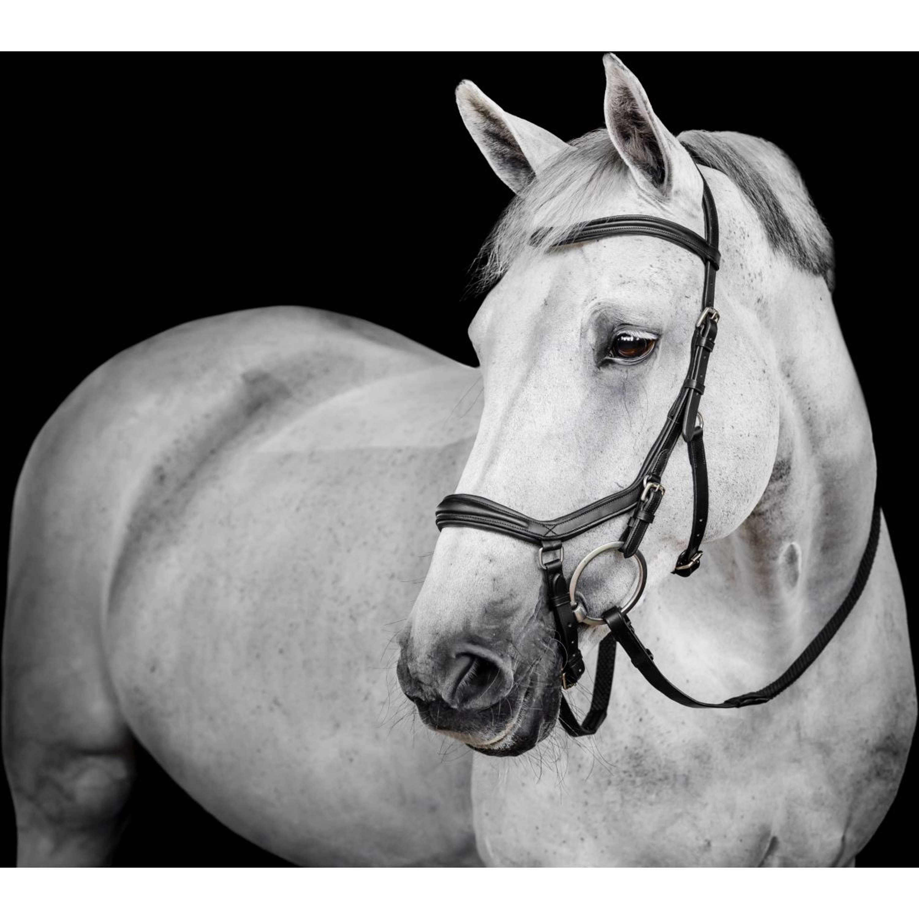 Horseware Micklem Deluxe Competition Bridle Zwart