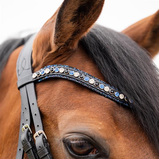Stang En Trens HB Showtime All You Needed Zwart-blauw