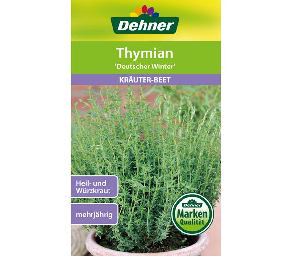 Dehner Samen Thymian 'Deutscher Winter'