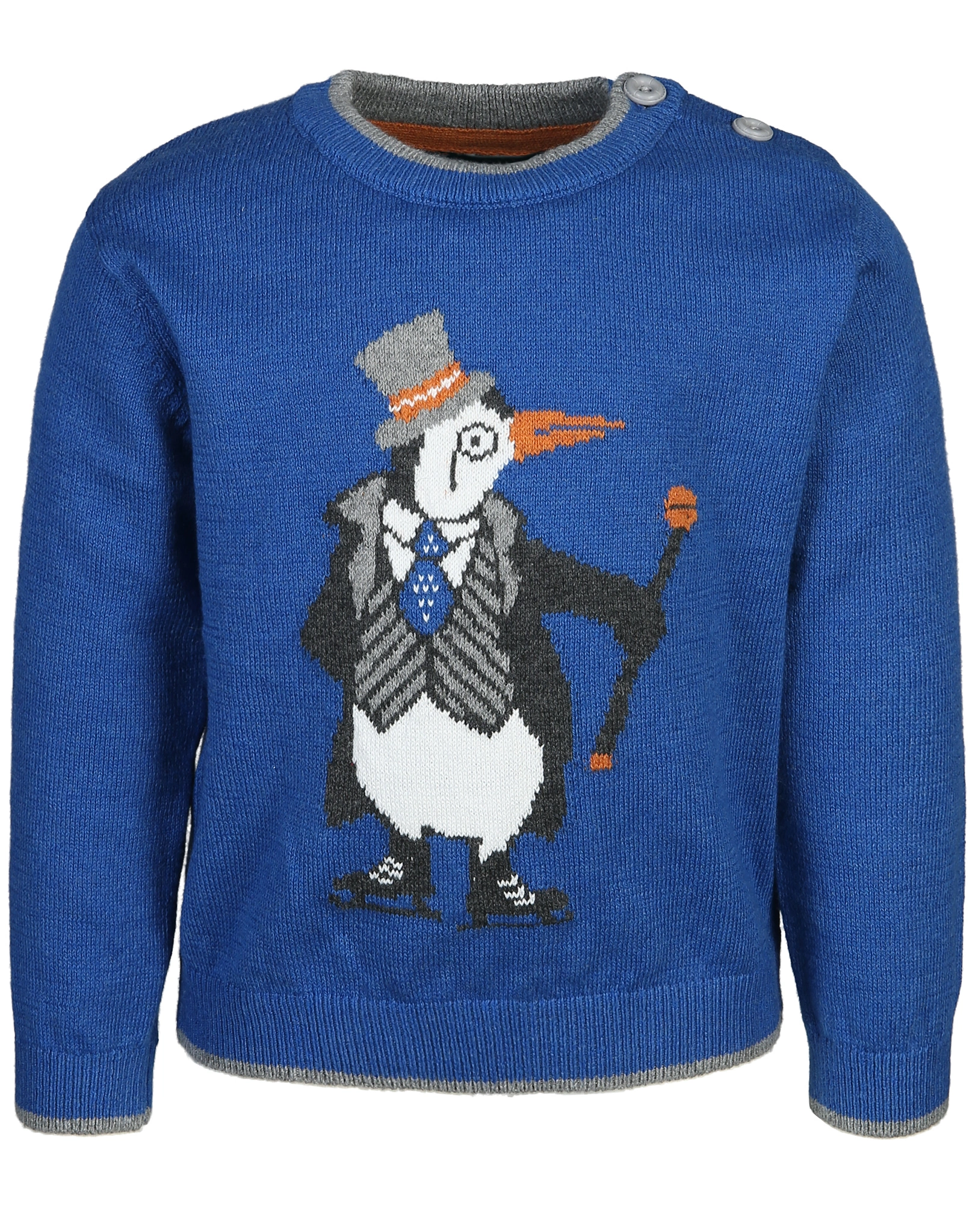 Strickpullover PINGUINO in boreal