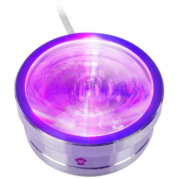 Ape Labs ApeCoin V2 Set 1 USB