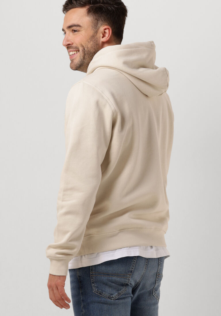 TOMMY JEANS beige tommy jeans trui tjm reg linear logo hoodie ext