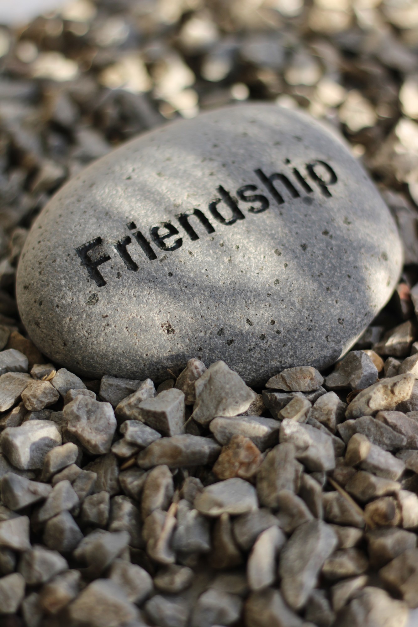 Flusskiesel 'Friendship', B 10-11 cm, H 3 cm von fischer's lagerhaus