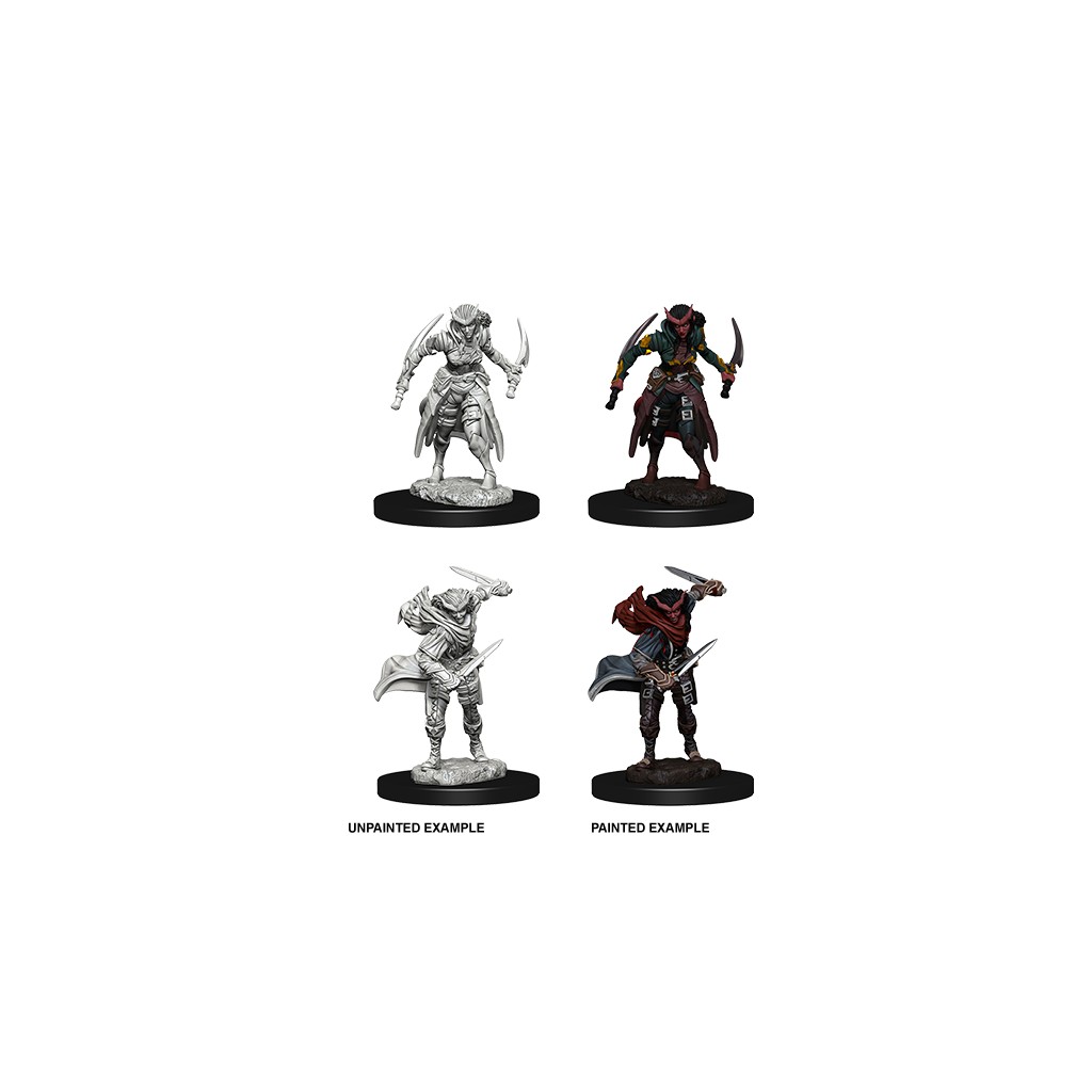 D&D Nolzur's Marvelous Unpainted Miniatures: Tiefling Female Rogue