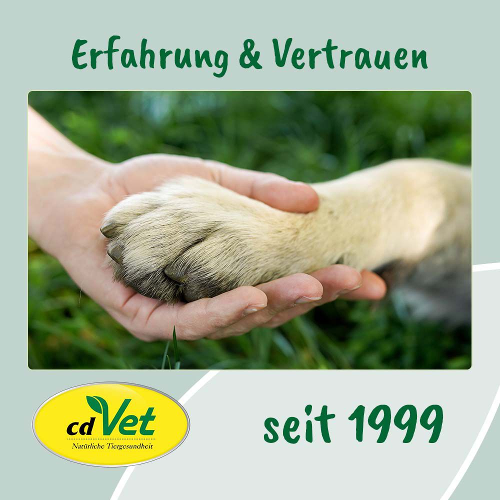 cd Vet insektoVet® Shampoo