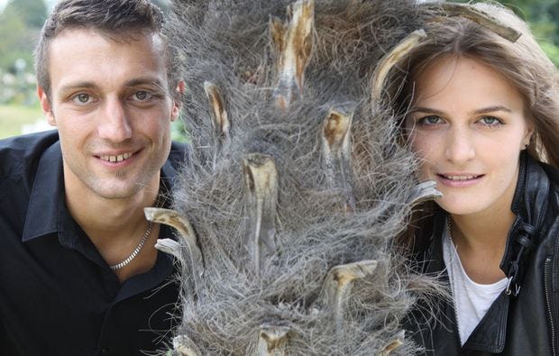 Paar-Fotoshooting in Karlsruhe: einmalige Bilder