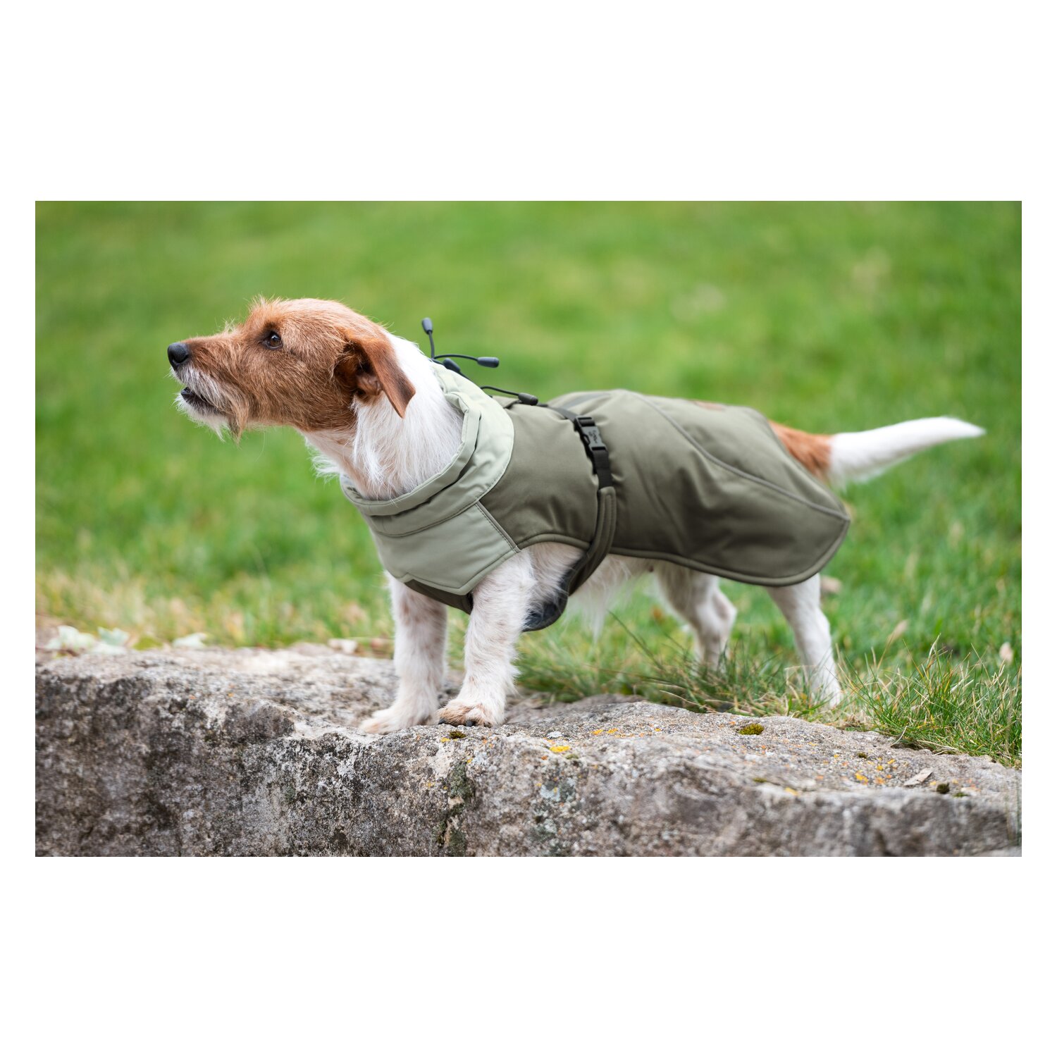 pawberry Hunde-Wintermantel Random - smokey olive
