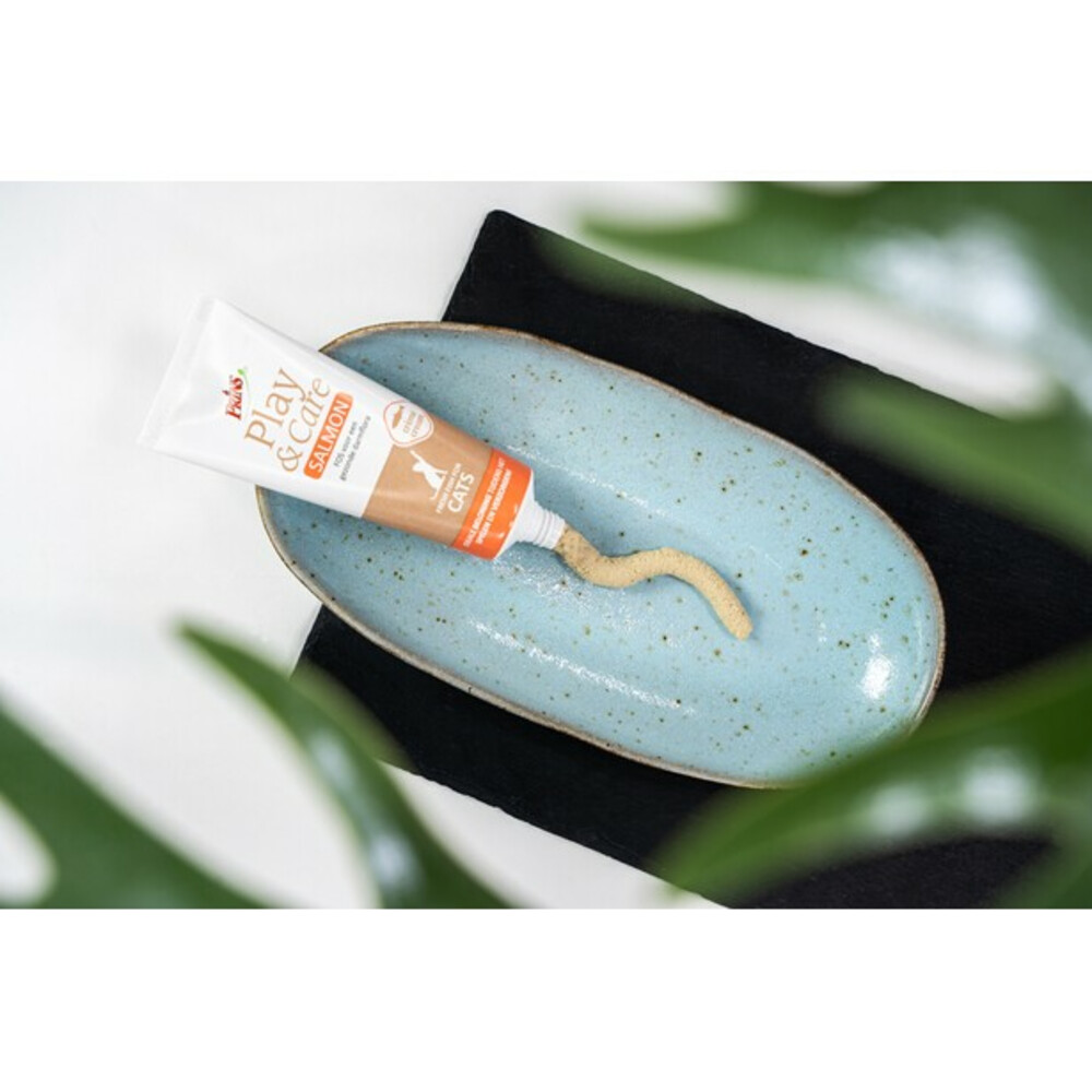Prins Play & Care Kattensnacks Zalm75 gr
