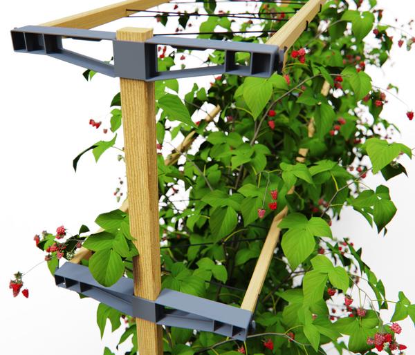 Gusta Garden Beeren-Rankhilfe Berry Buddy, ca.