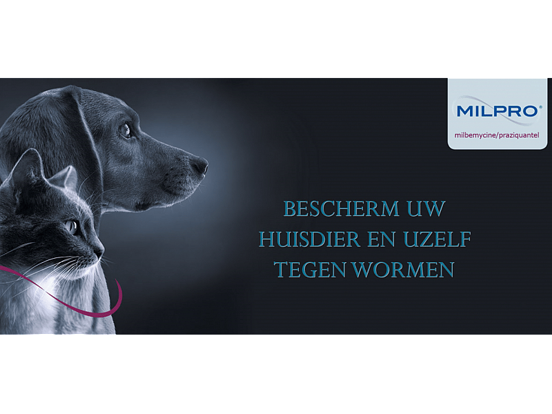 Milpro Ontwormingstabletten Hond | 4 stuks - Hond > 5 kg | 5663
