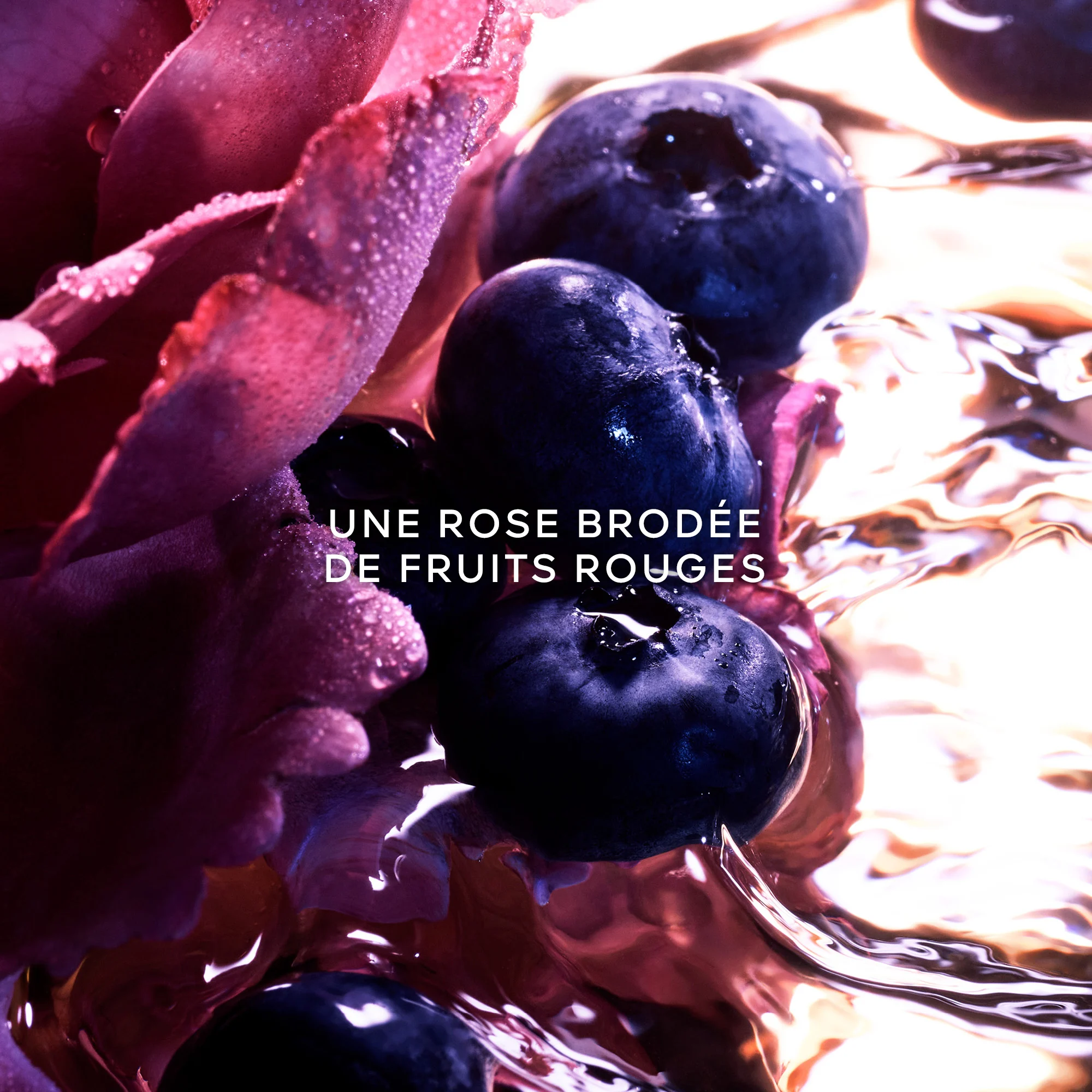 LA PETITE ROBE NOIREEau de Parfum Intense |