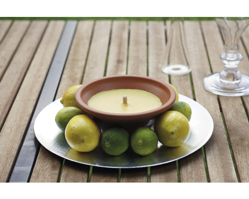 Kaars in terracotta schaal, citronella, Ø 11,5 cm, H 7,5 cm