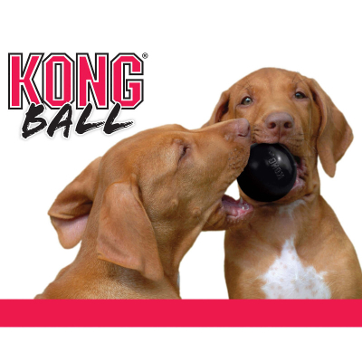 KONG Hundespielzeug Extreme Ball M/L 8cm