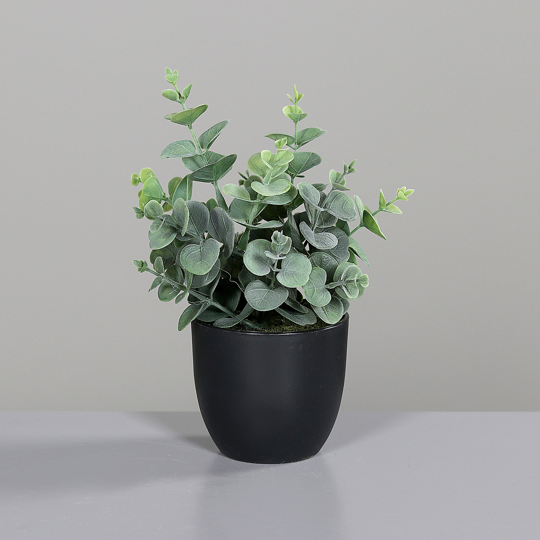 Eukalyptus im Topf - Kunstpflanze - 20 cm