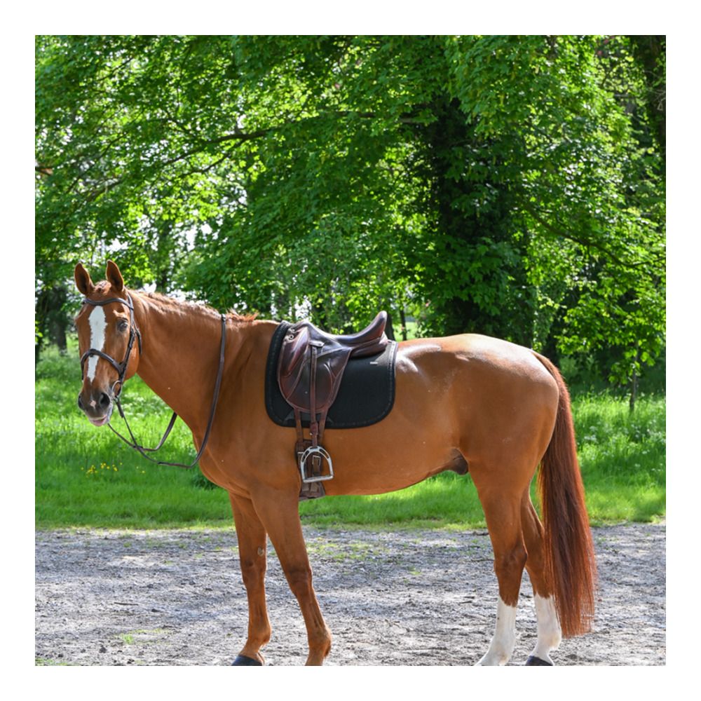 Gem MESH - Tapis de dressage noir/noir