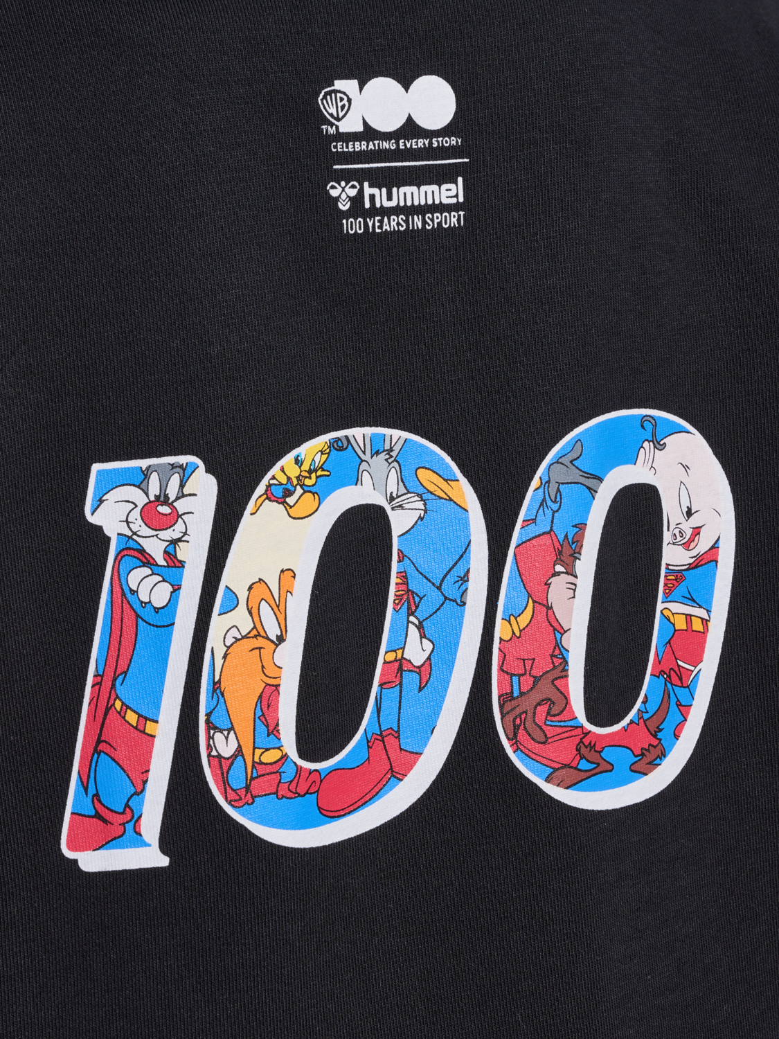 hmlCELEBRATING STORY HOODIE