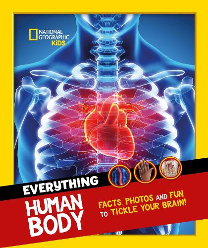 Everything: Human Body: Eye-Opening Facts and Photos to Tickle Your Brain! - National Geographic Kids (Paperback)