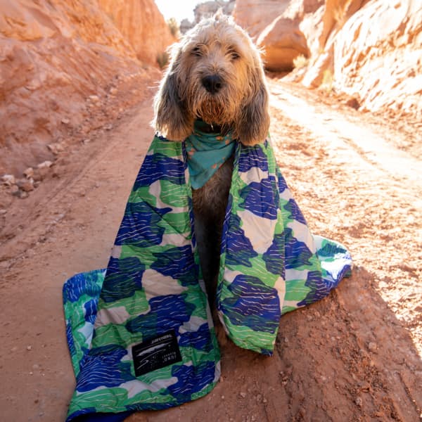 Sac de couchage THERMAREST JUNO BLANKET TIDE POOL PRINT