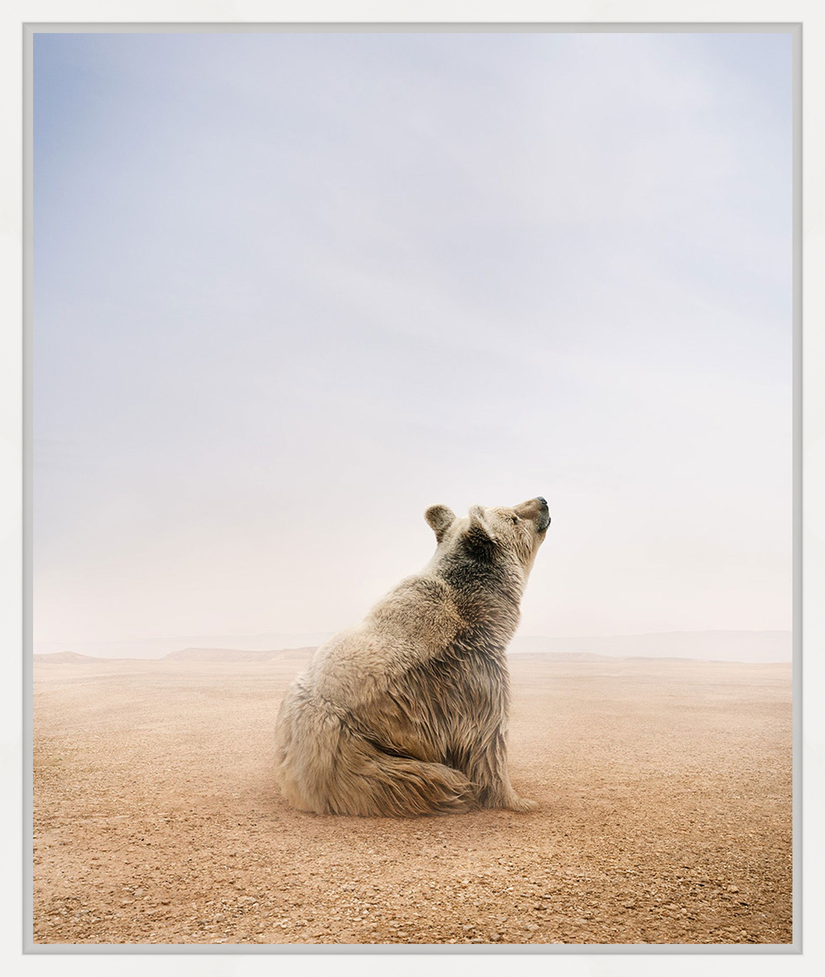 Being Here Bear by Alice Zilberberg - Limited Edition. Edition of: 150. Signed.