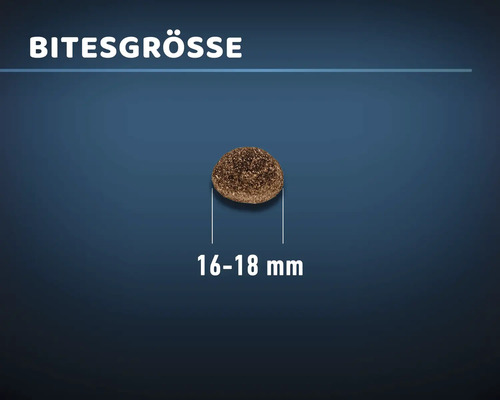 MR.BEEF Senior droogvoer voor honden, 4 kg, kip, non-GMO, zonder toegevoegde suikers, zonder kleurstoffen, zonder soja. Gemaakt in Duitsland.