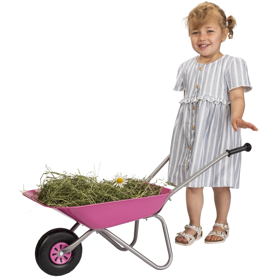 rolly®toys rollySchubkarre pink