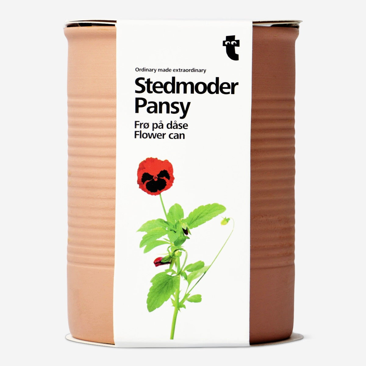 Stedmoderblomster. Blomst kan
