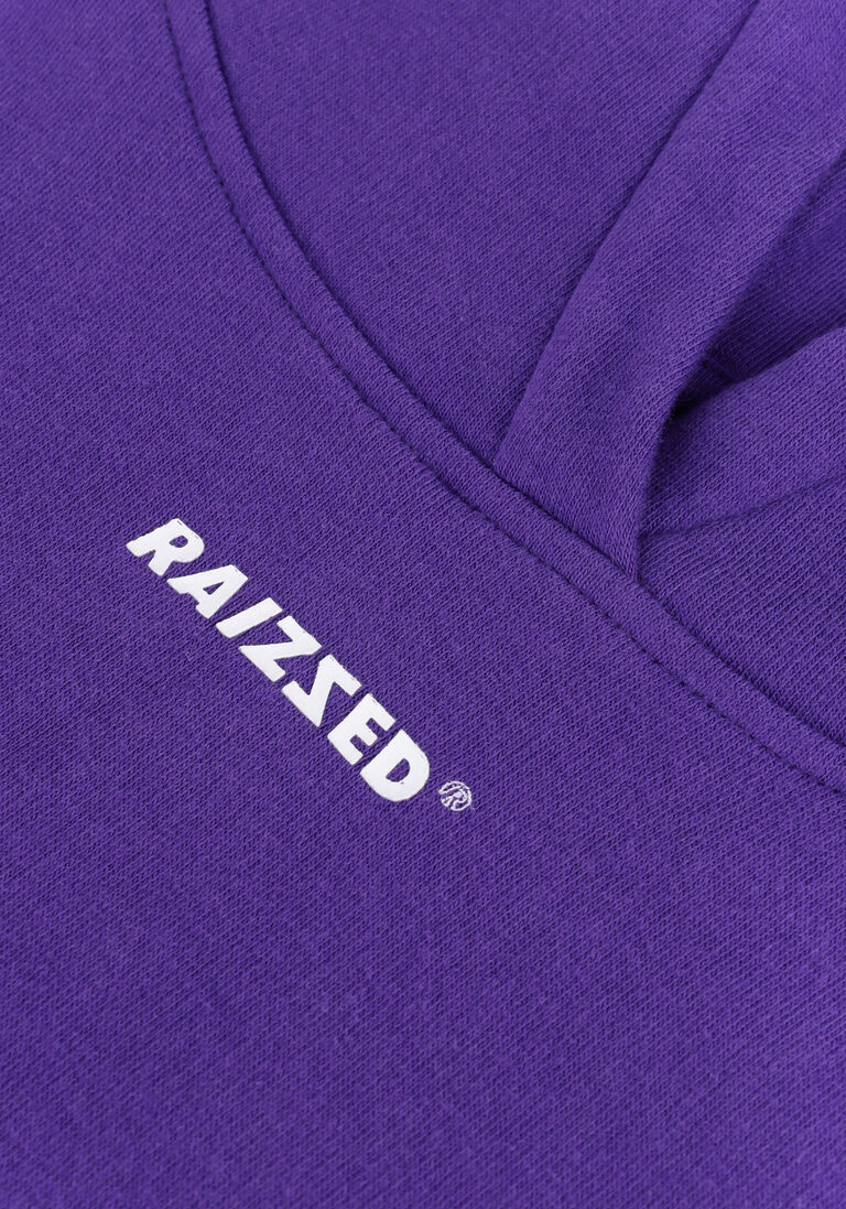 RAIZZED paarse raizzed trui newfield