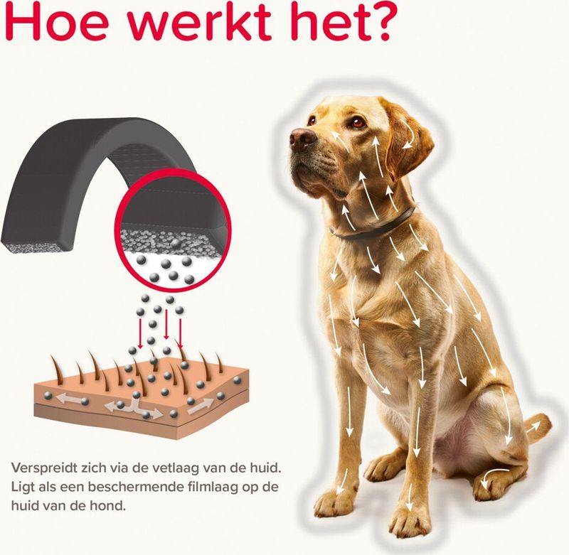 Beaphar Canishield Anti Vlooien en Tekenband Hond L 65 cm