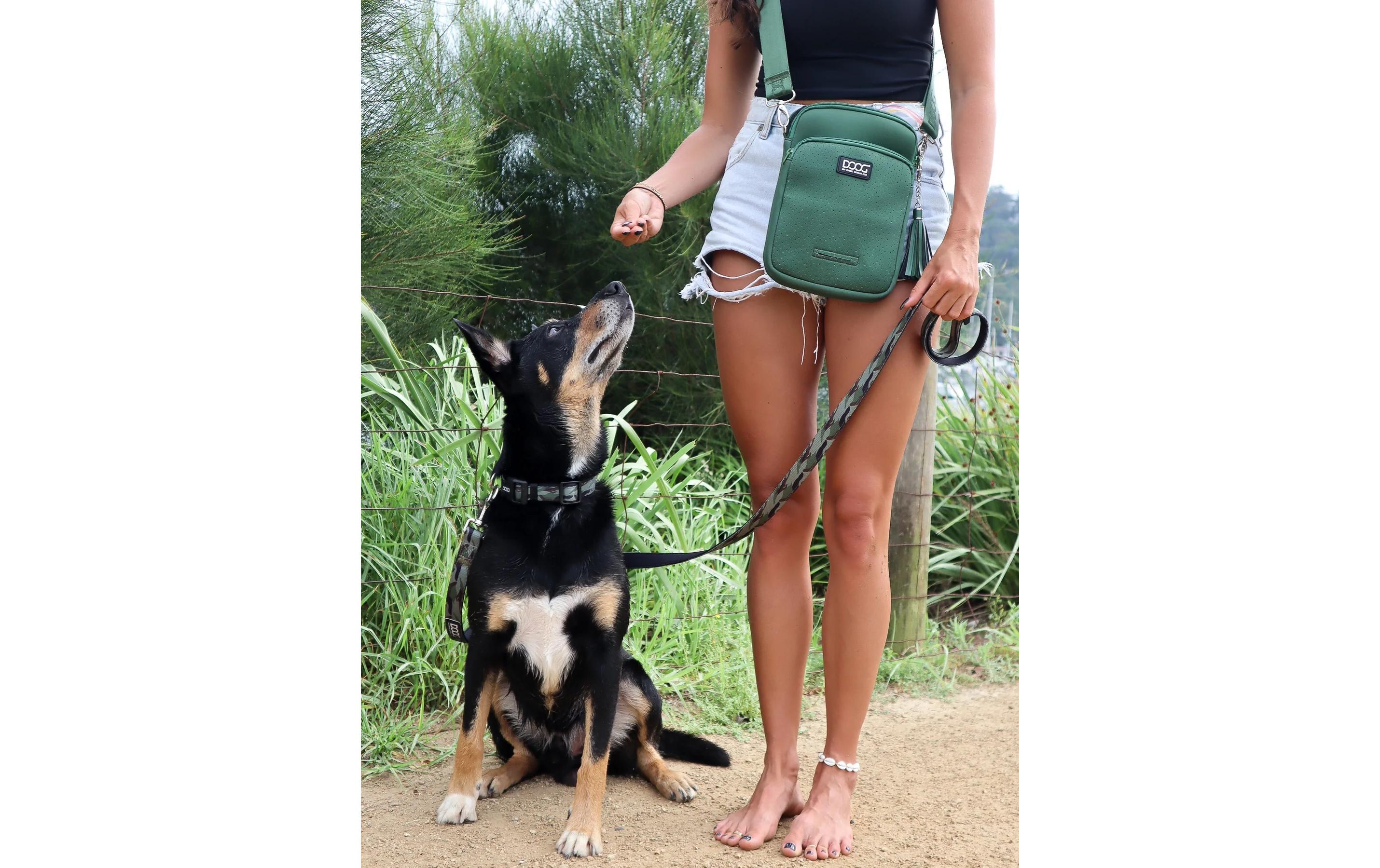 Neosport Walkie Bag GrünHunde-Walking-Tasche