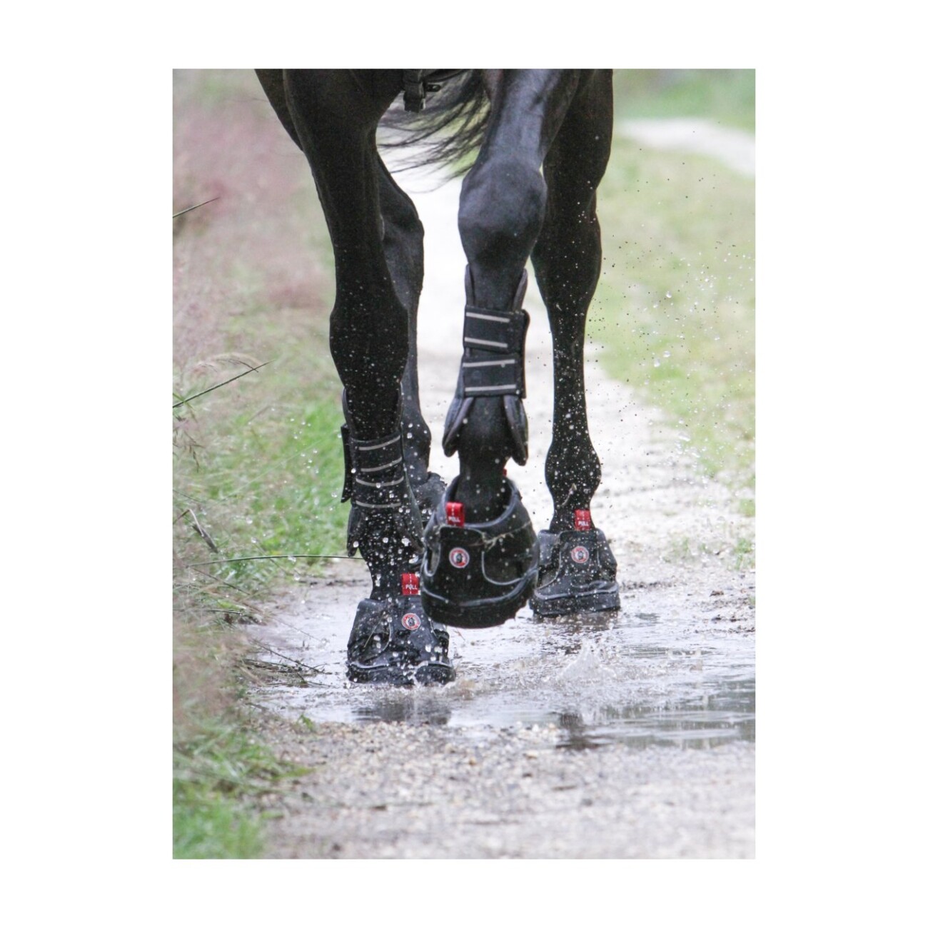 Equine Fusion AS Hufschuh Trekking 14 cm