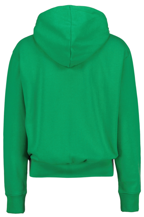 Raizzed groene dames sweater